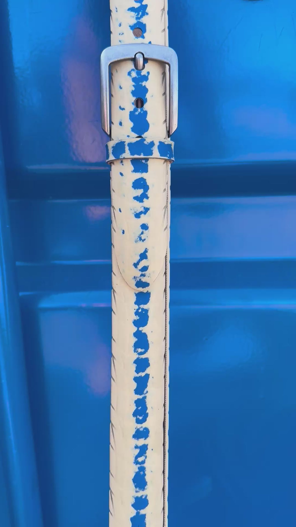 Blue Dash Trash tirebelt